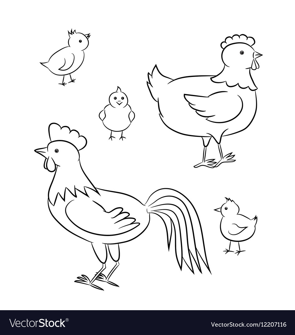 Cute Chicken Family
