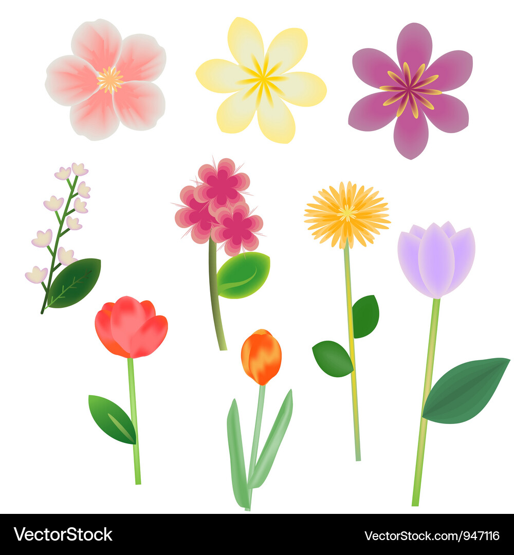 Floral Elements Collection Royalty Free Vector Image