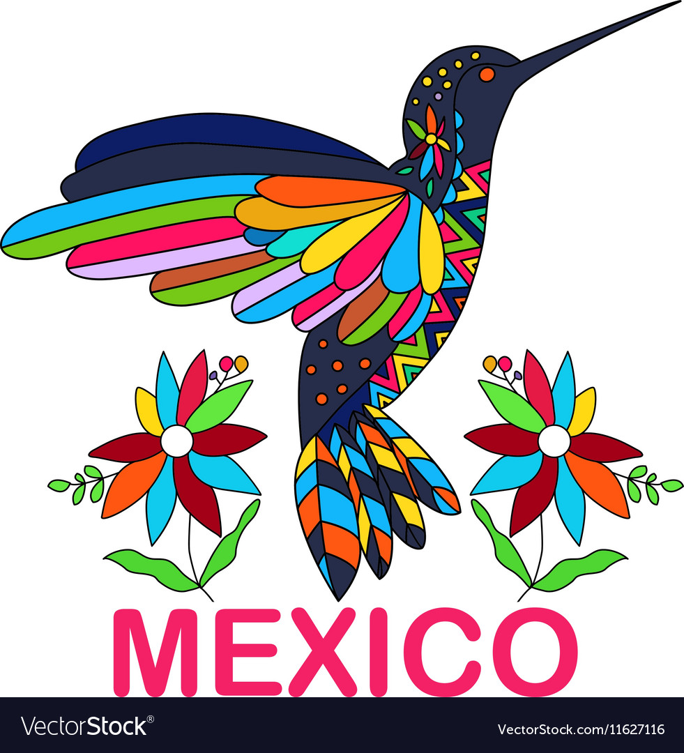 Isolated image of mexican bird