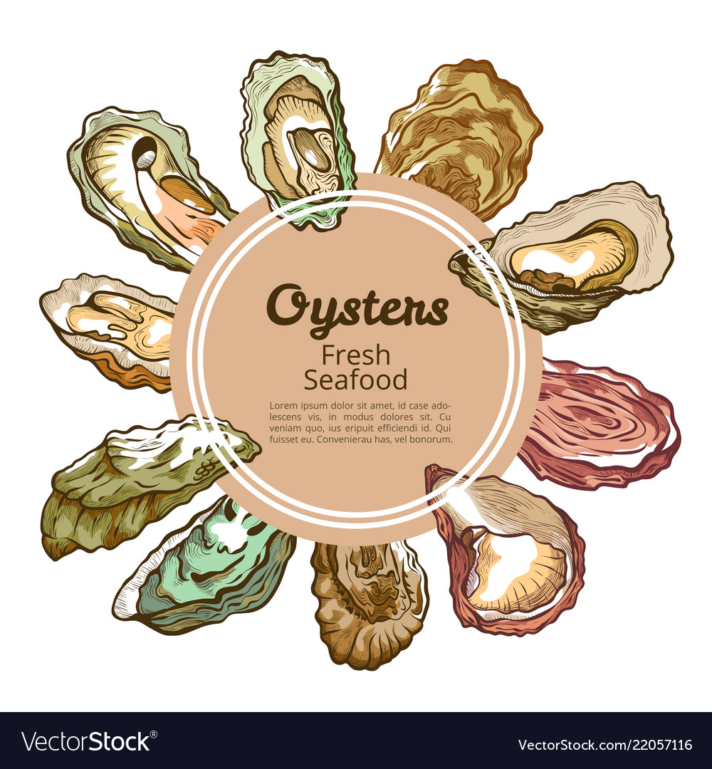Oyster Shell Round Banner With Copy Space Vector Image