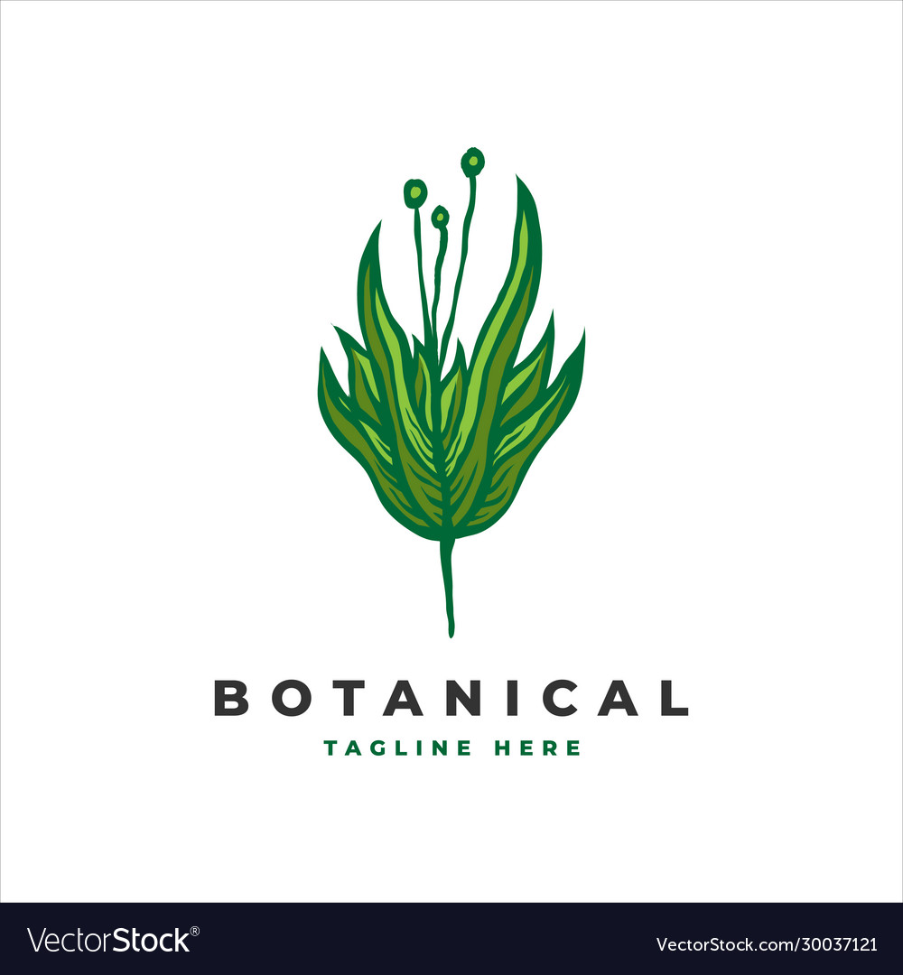 Botanical flower logo template