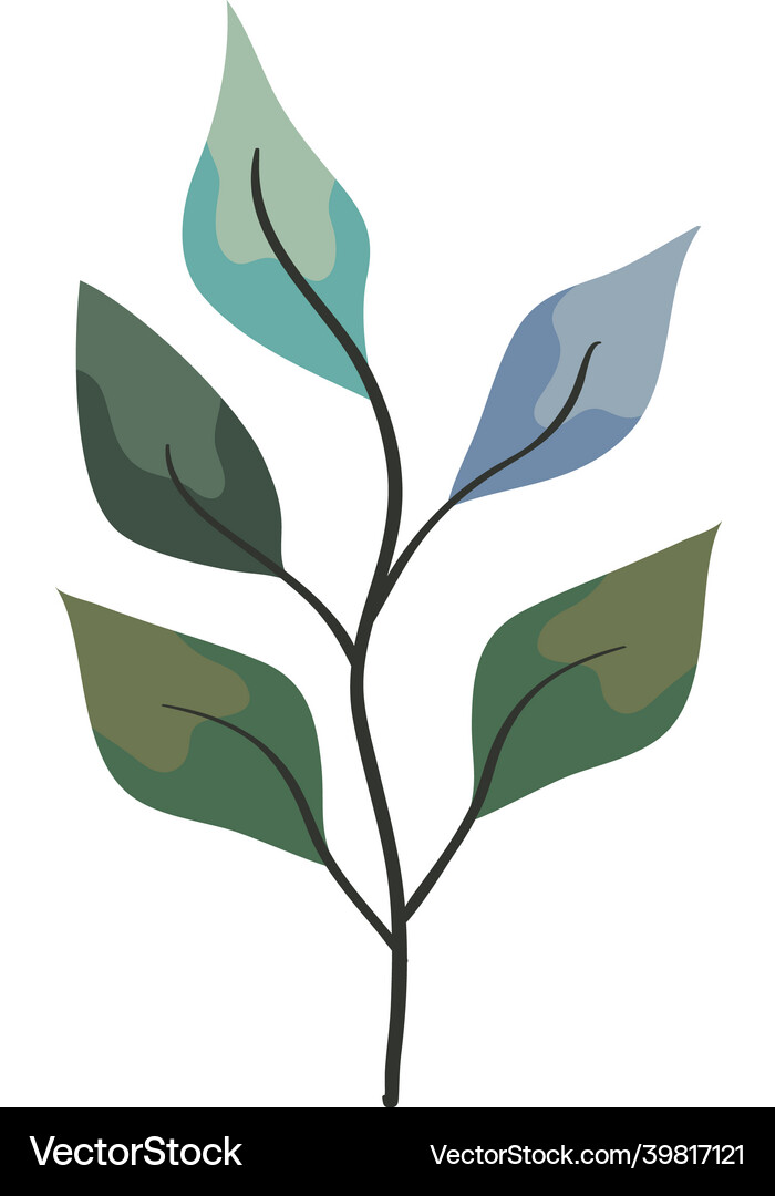Branch with leafs Royalty Free Vector Image - VectorStock