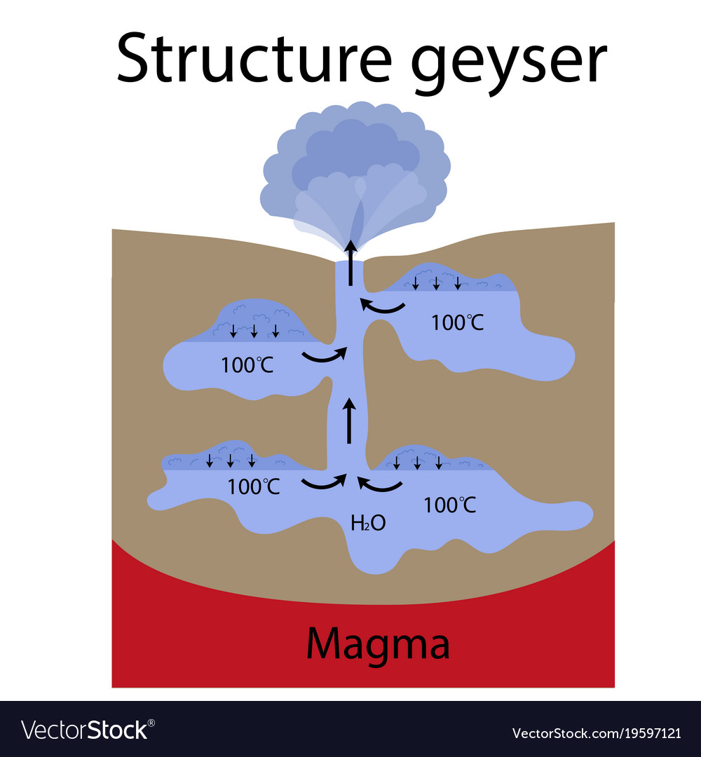 The formation geyser Royalty Free Vector Image