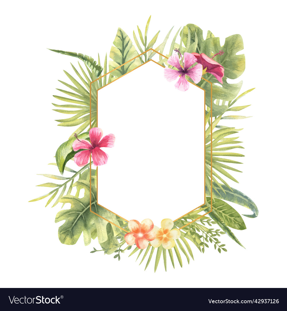 A hexagonal frame Vector Image A hexagonal frame