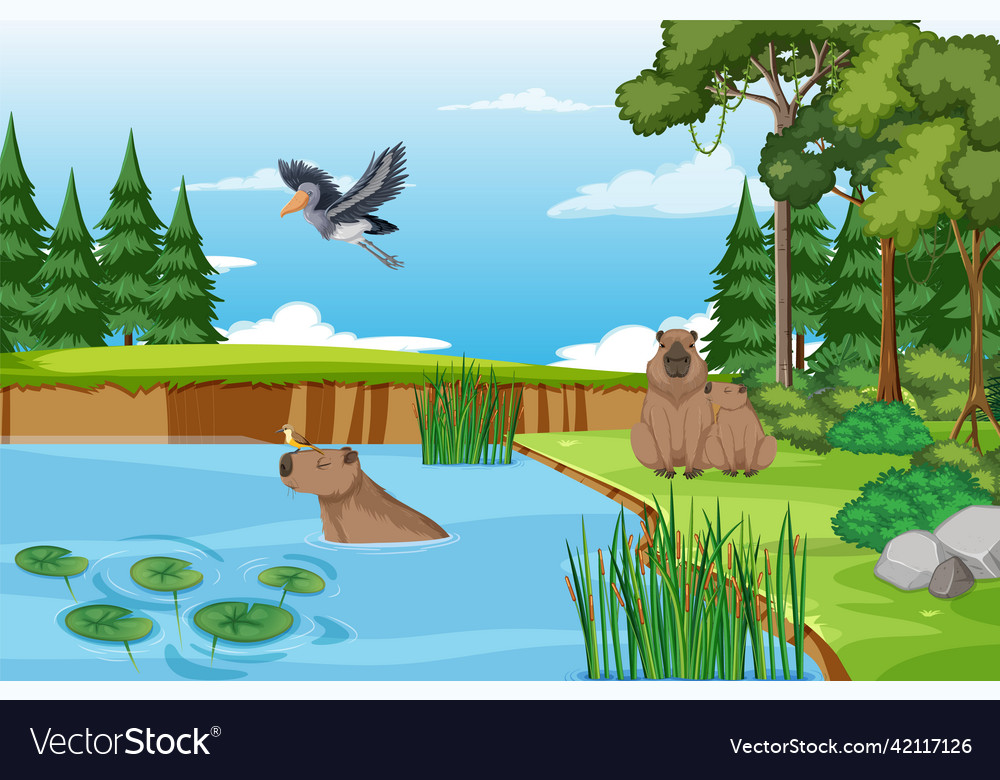 Capybara living in the nature pond Royalty Free Vector Image