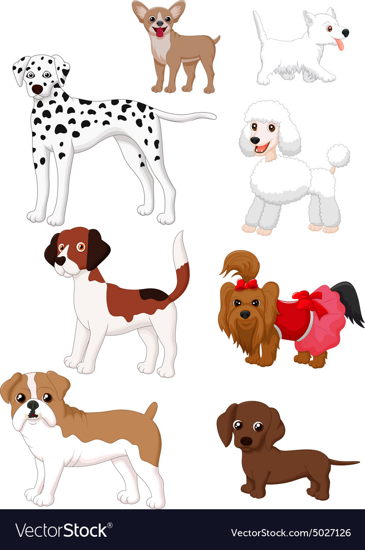 Cartoon dog collection