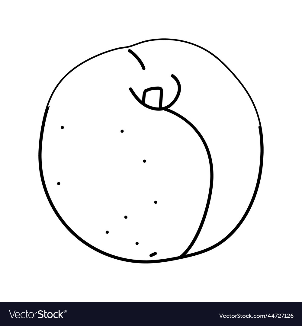 Ripe nectarine line icon vector image Ripe nectarine line icon