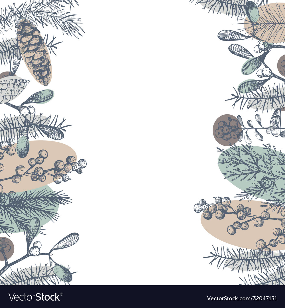 Background with hand drawn christmas plants Vector Image