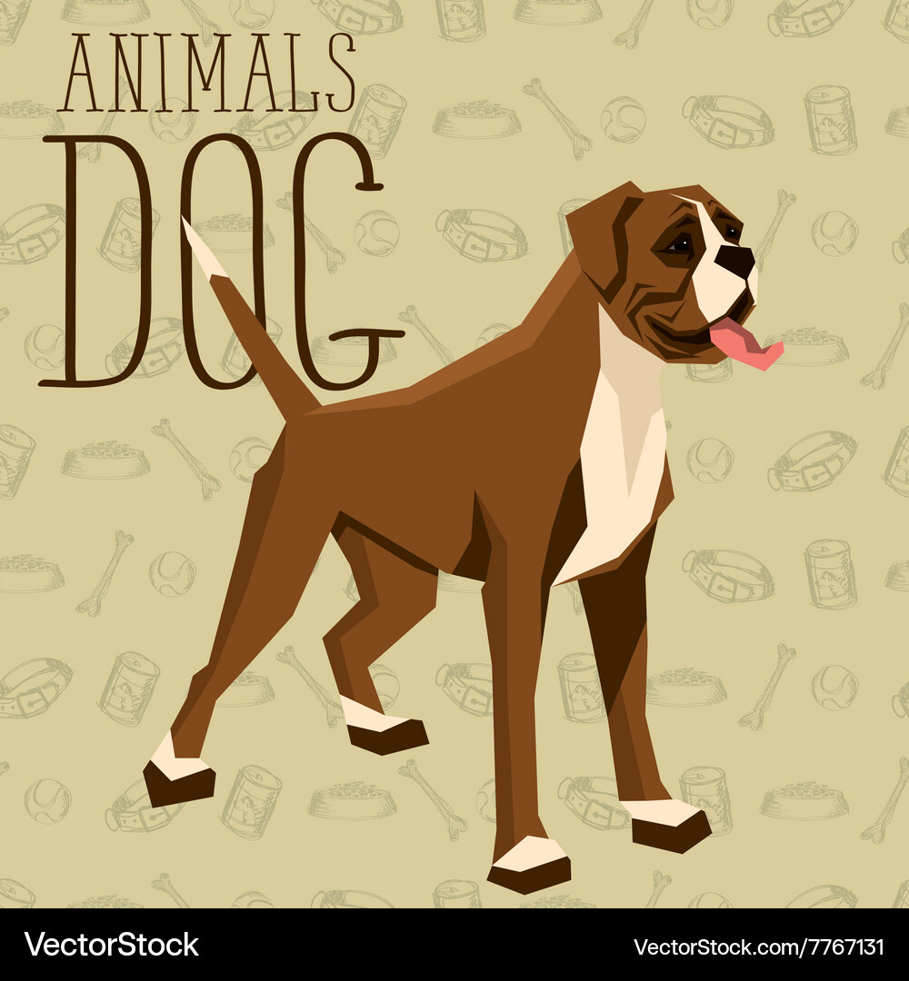 Boxer Royalty Free Vector Image - VectorStock