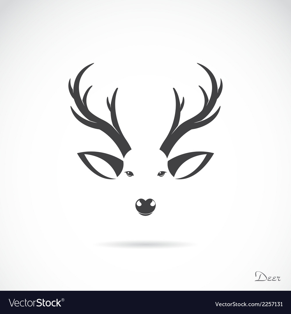 Image Of An Deer Head Royalty Free Vector Image Image Of An Deer Head Vector 2257131