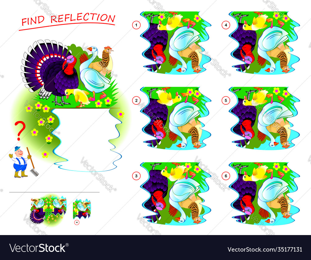 Logic puzzle game for kids need to find correct vector image Logic puzzle game for kids need to find correct