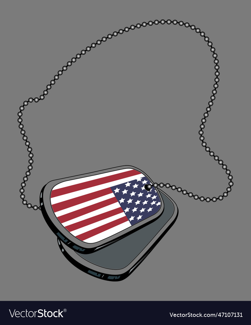 Usa flag on a steel dog tag Royalty Free Vector Image
