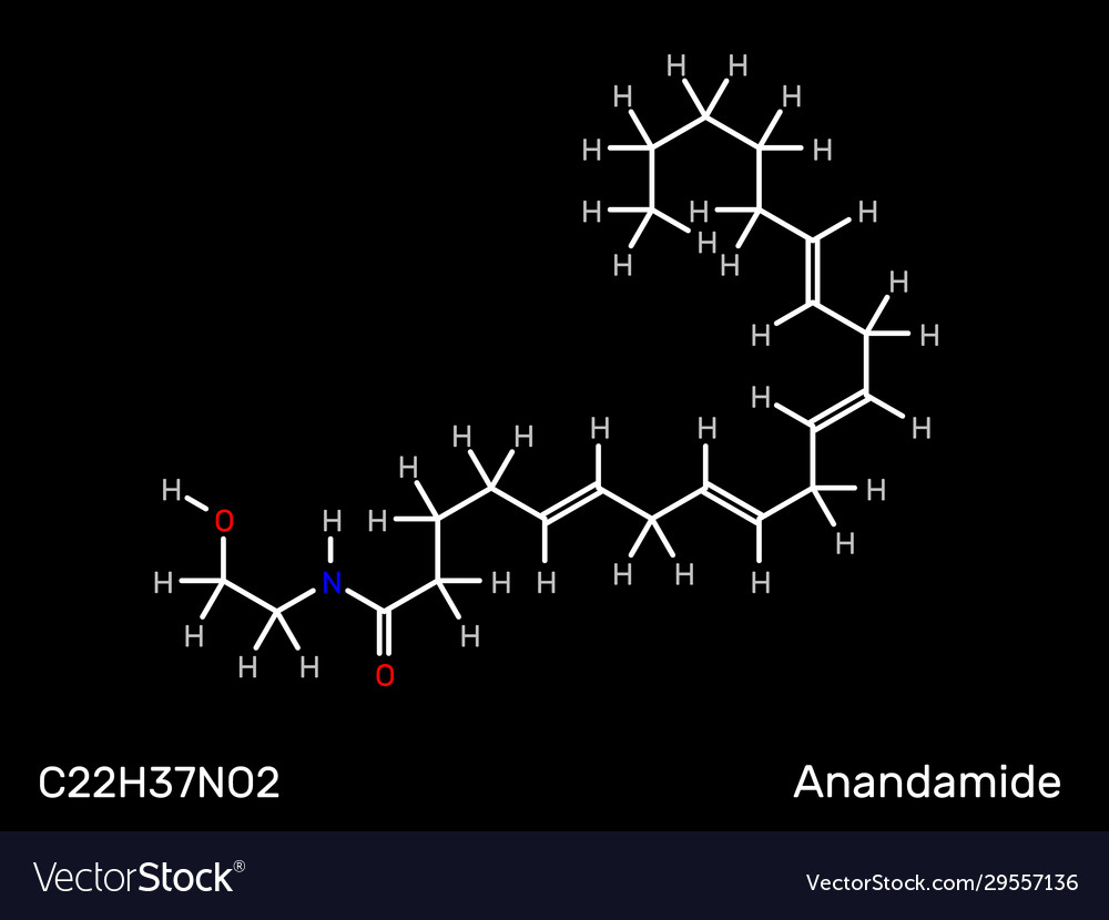 Anandamid Molekular Struktur