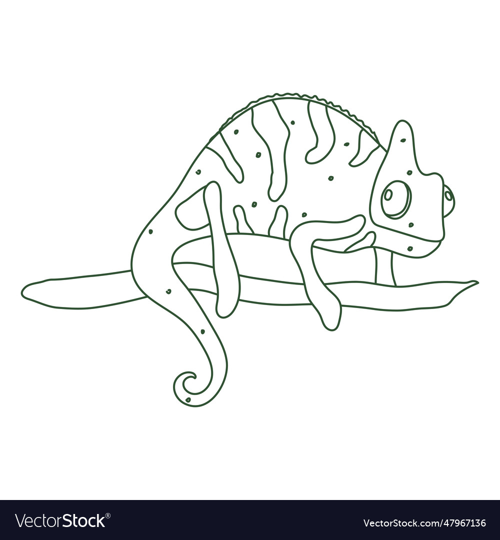 Chameleon animal nature stroke Royalty Free Vector Image