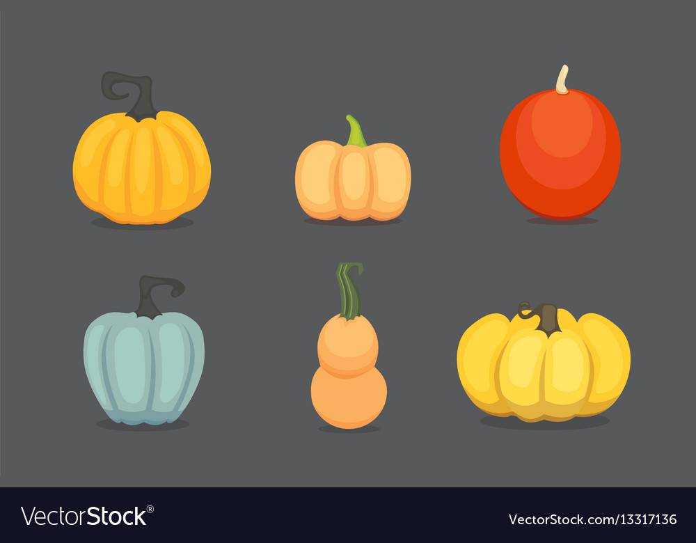 Set cartoon pumpkin isolated