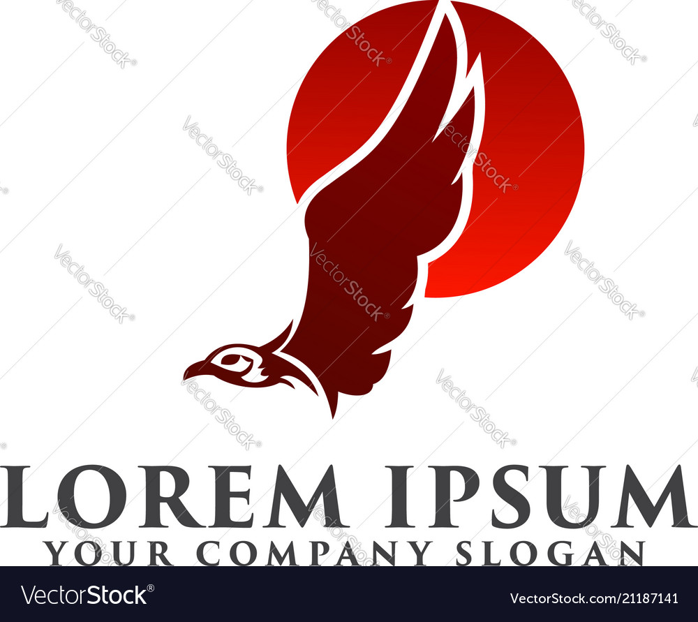 Eagle sun logo design concept template Royalty Free Vector