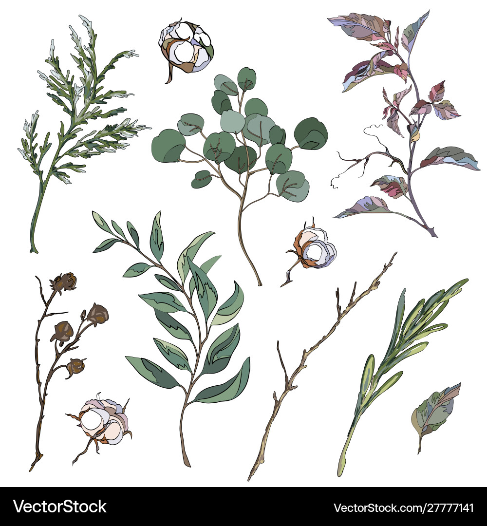 Set decorative elements Royalty Free Vector Image