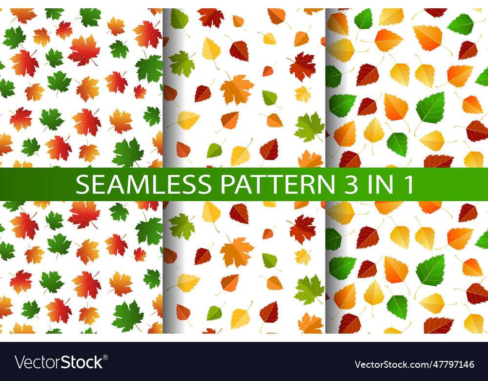 Multicolored autumn seamless pattern set 3 in 1