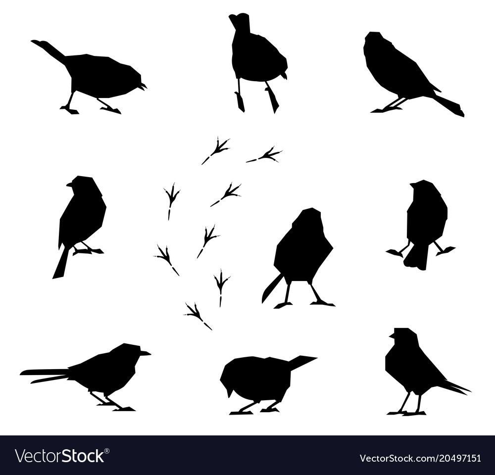 A set of silhouettes of winter birds