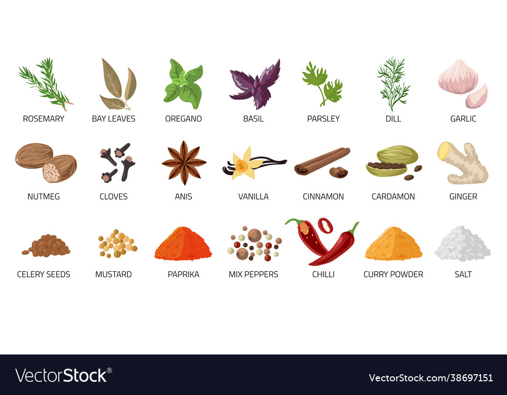 Cartoon spices food and dishes seasoning dry Vector Image