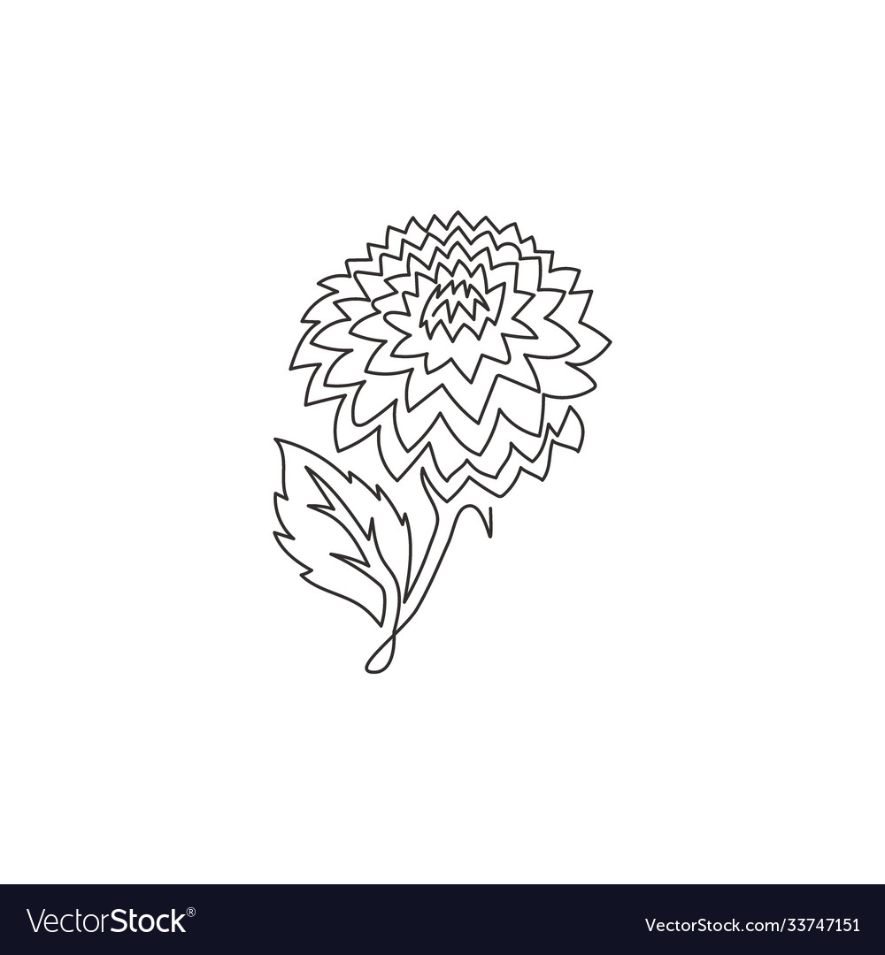 Single Continuous Line Drawing Beauty Fresh Vector Image