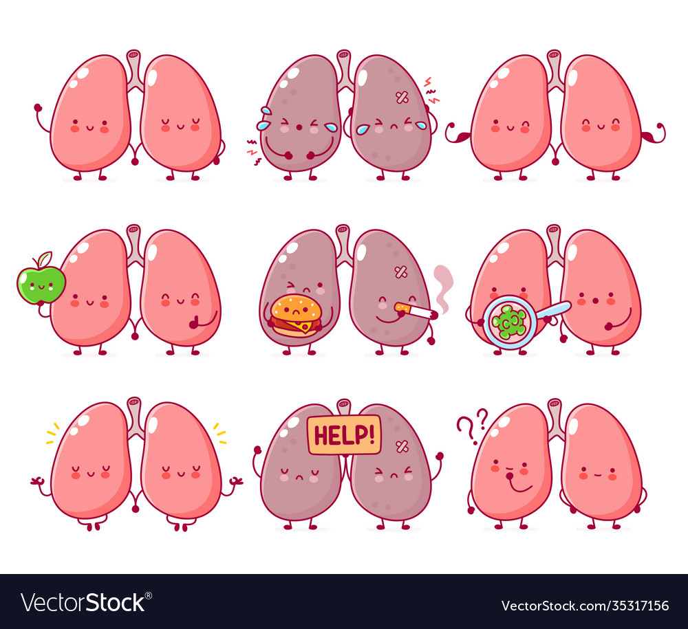 Cute funny human lungs organ character