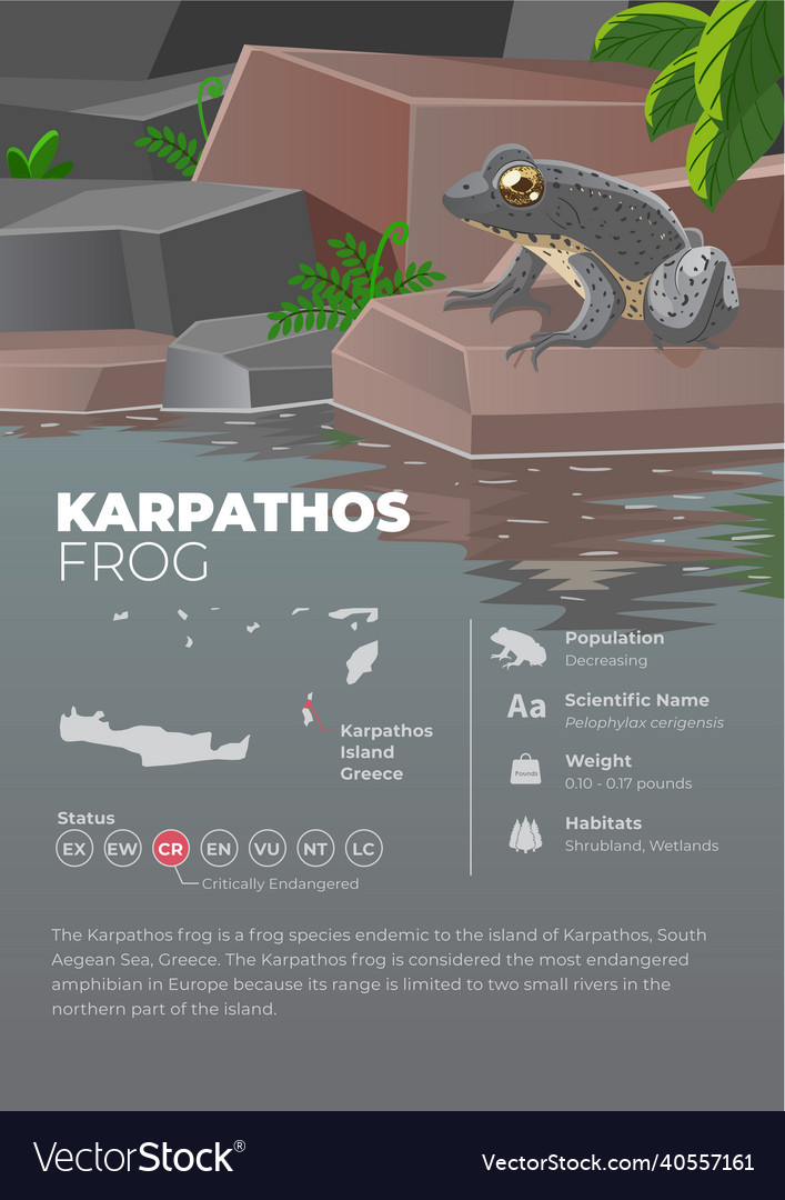 Animal infographic series - karpathos frog