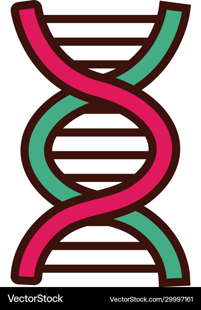 Dna molecule flat style icon Royalty Free Vector Image