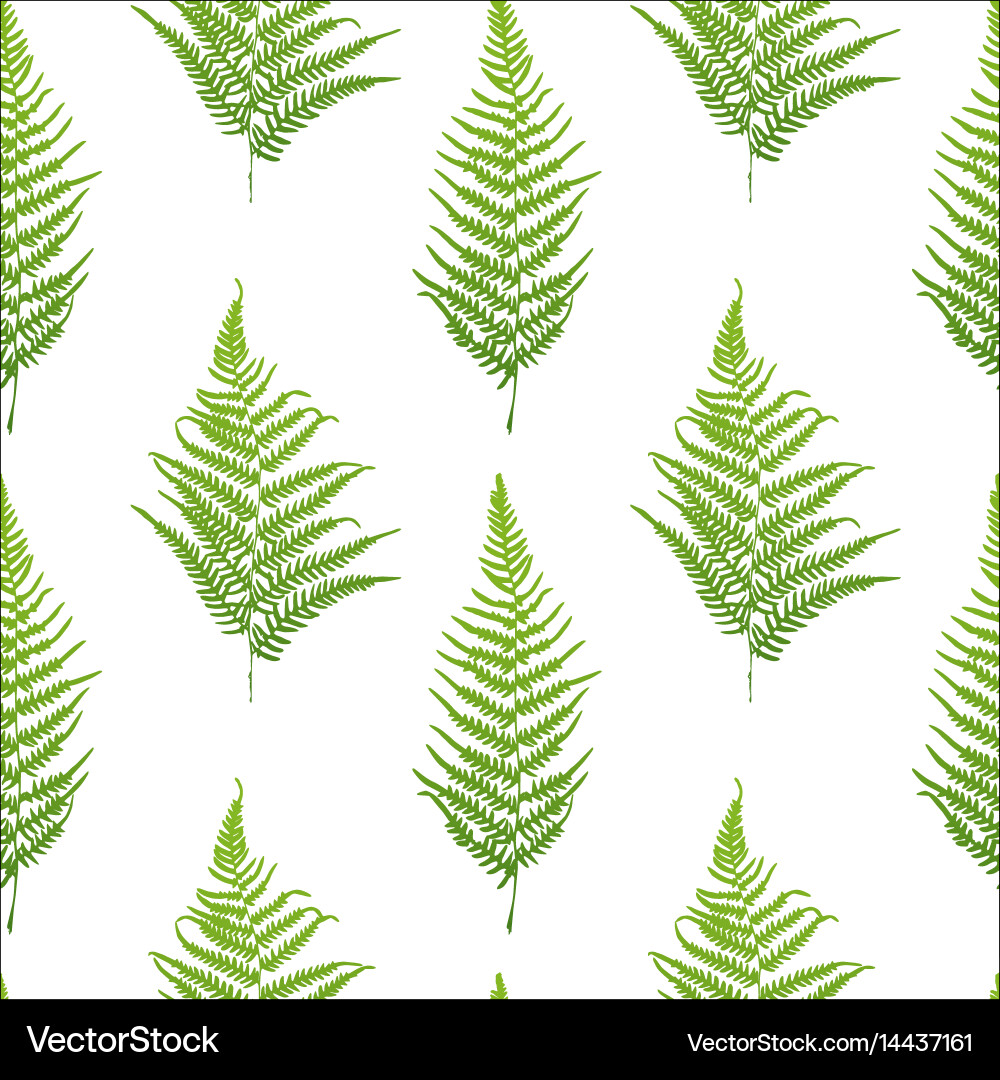 Fern seamless pattern Royalty Free Vector Image