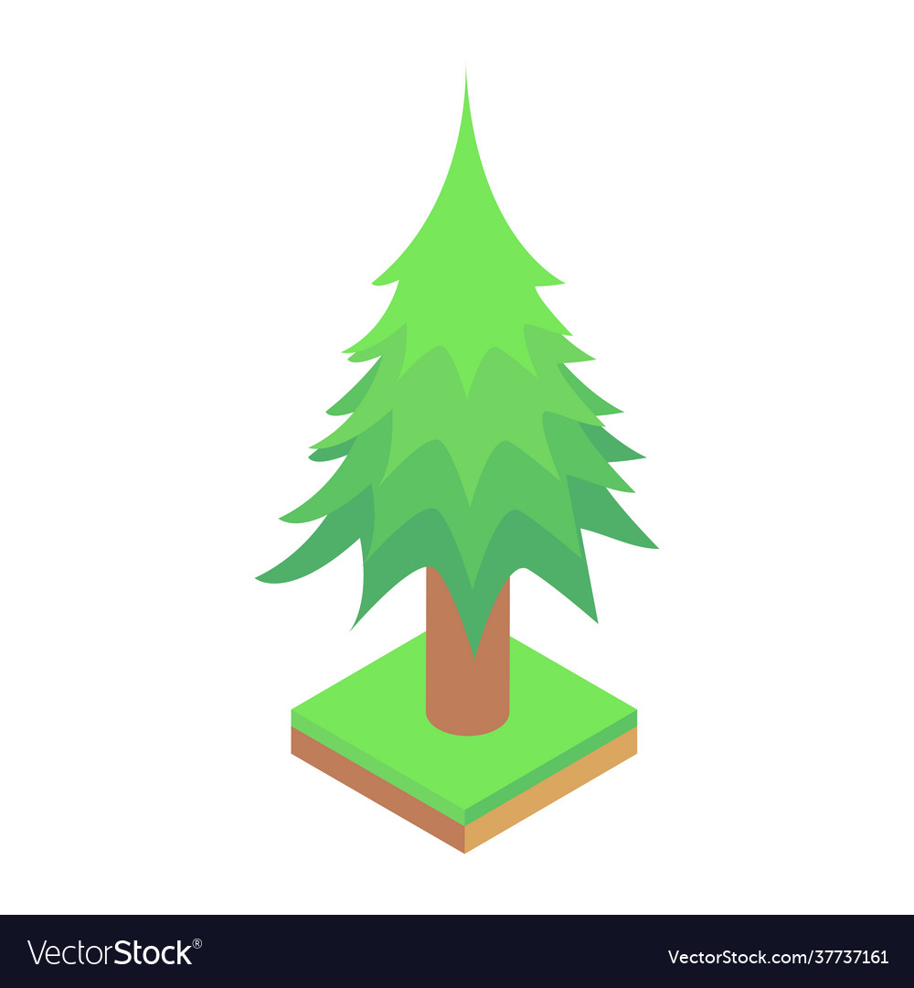 Pine tree