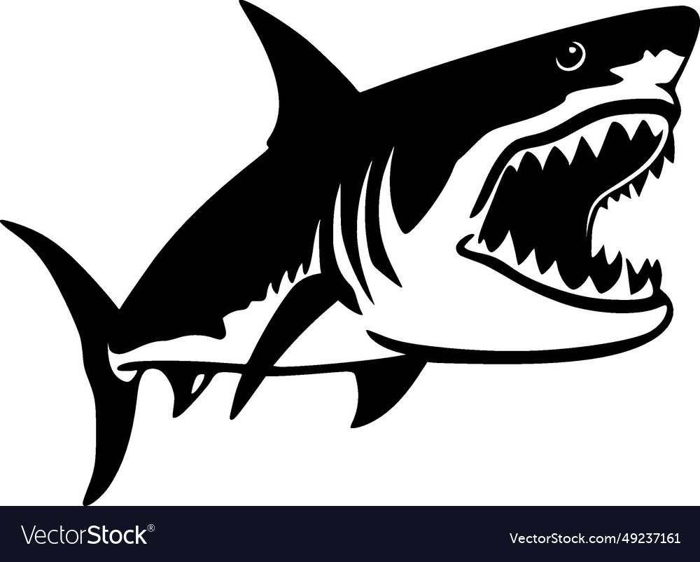 Shark - black and white