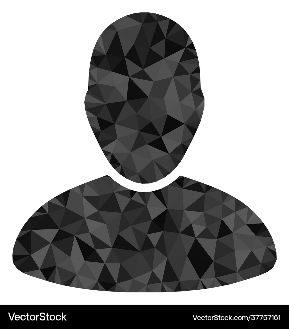 User polygonal lowpoly flat icon Royalty Free Vector Image
