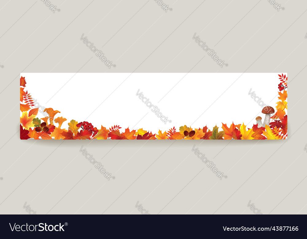 Autumn leaves background season floral horizontal