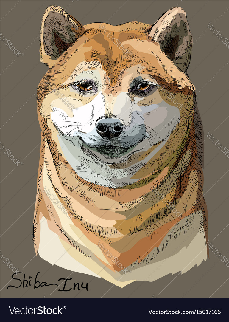 Colored Shiba Inu Portrait