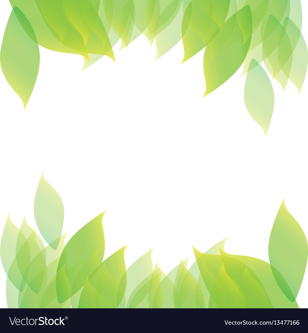 Leaf Border Pattern