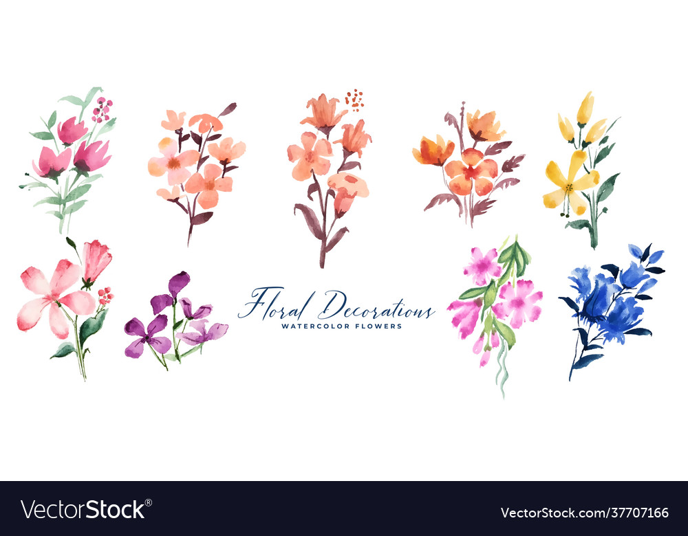 Watercolor Flower Set - Delicate Blooms