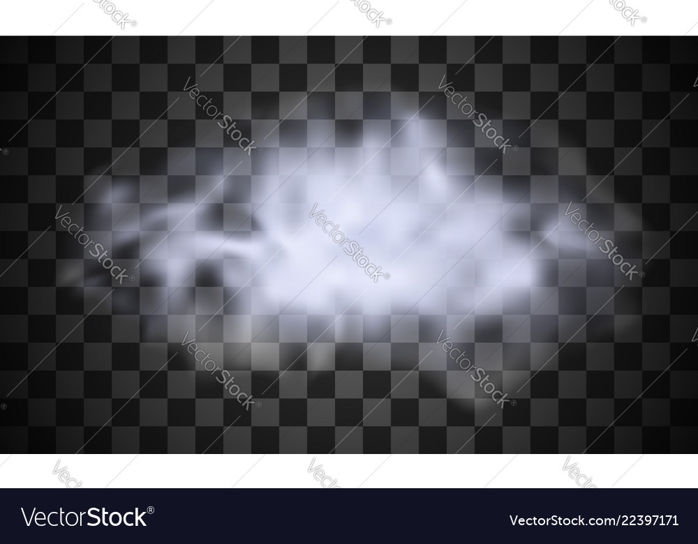 Realistic isolated cloud on transparent background vector image Realistic isolated cloud on transparent background