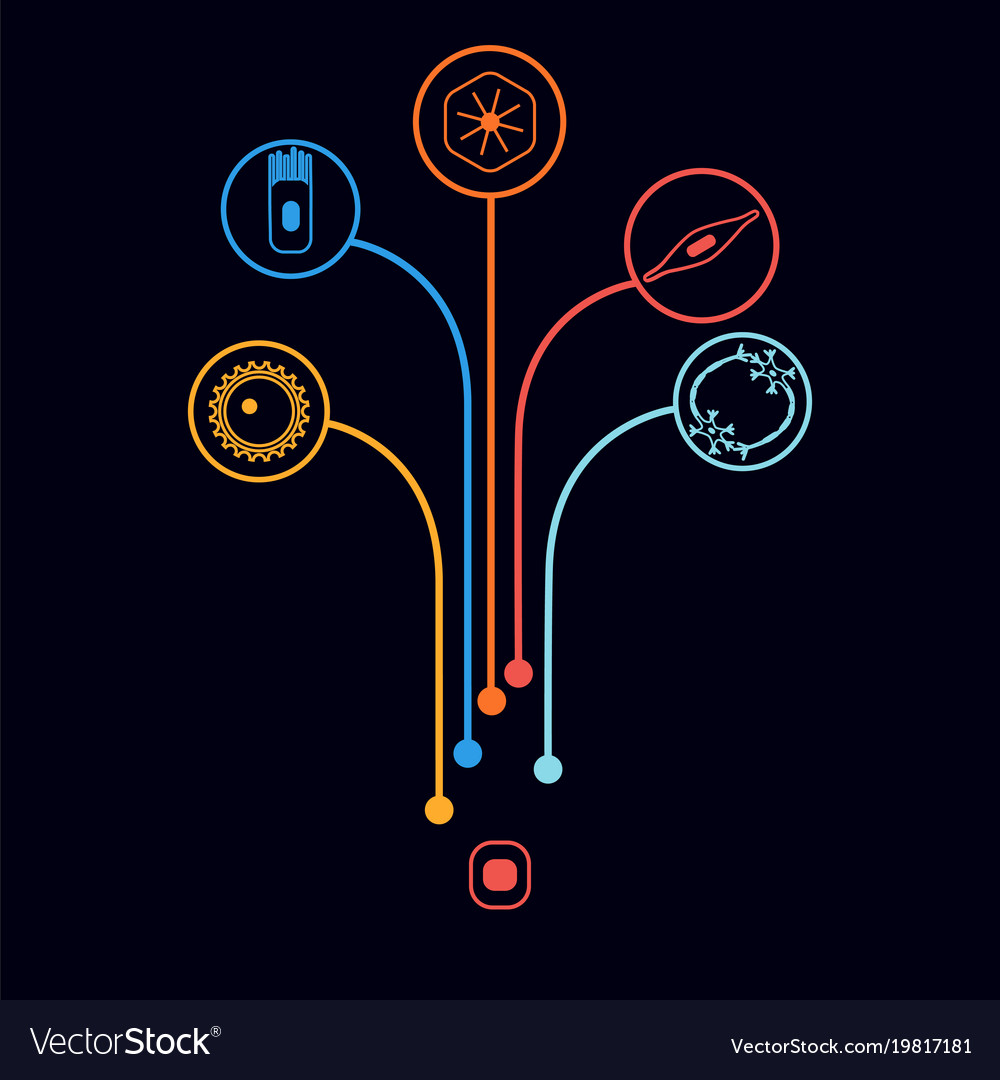 Human cell type set