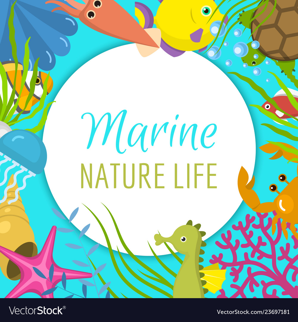 Marine life frame it s summer