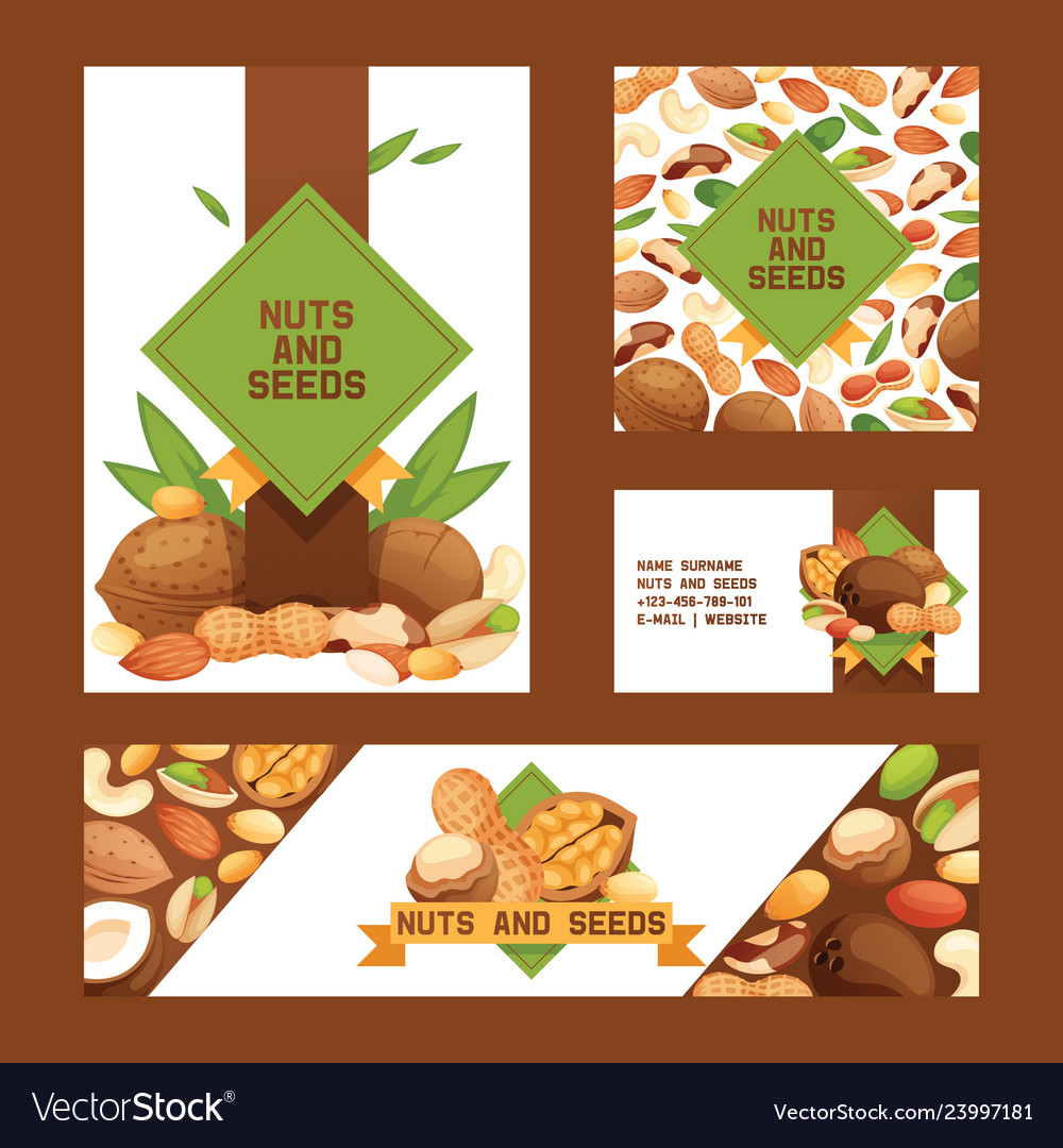 Nut nutshell of hazelnut walnut and almond nuts vector image Nut nutshell of hazelnut walnut and almond nuts
