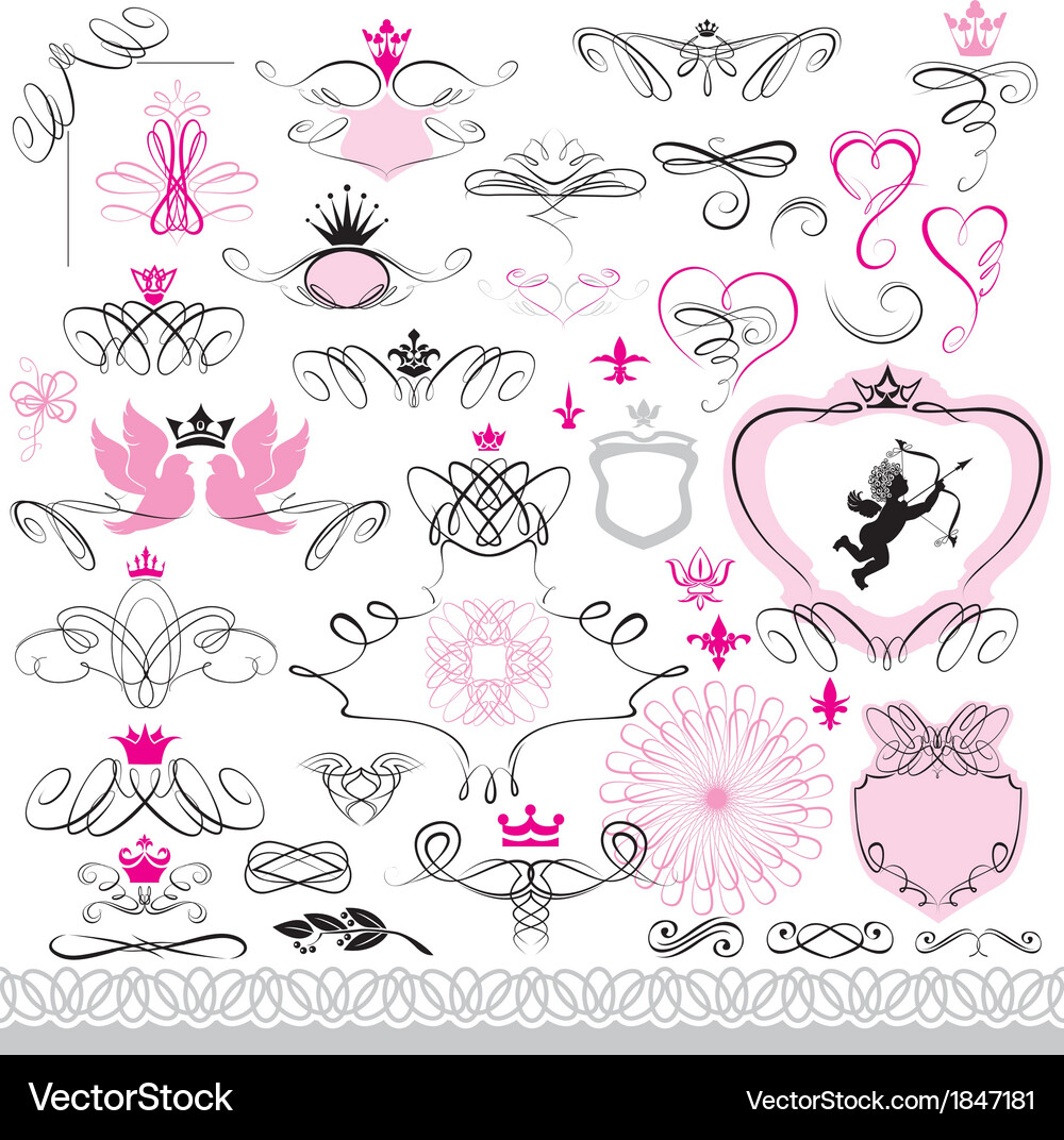 Set calligraphic design elements and page decor Vector Image