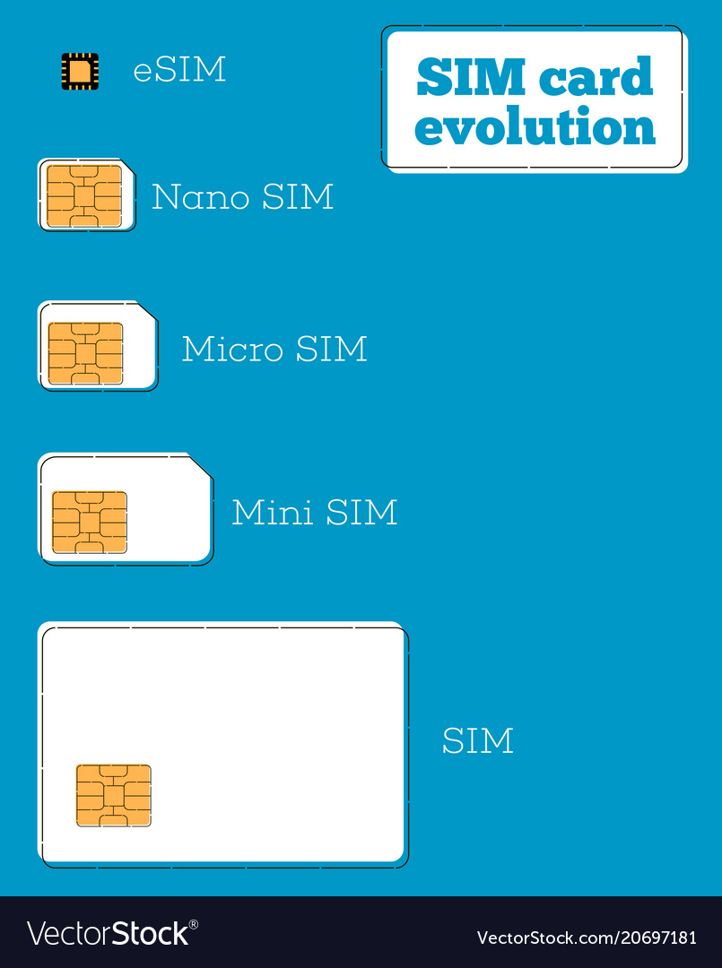 Sim card evolution concept in flat style Vector Image