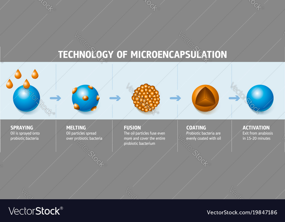 Probiotic Microencapsulation Process