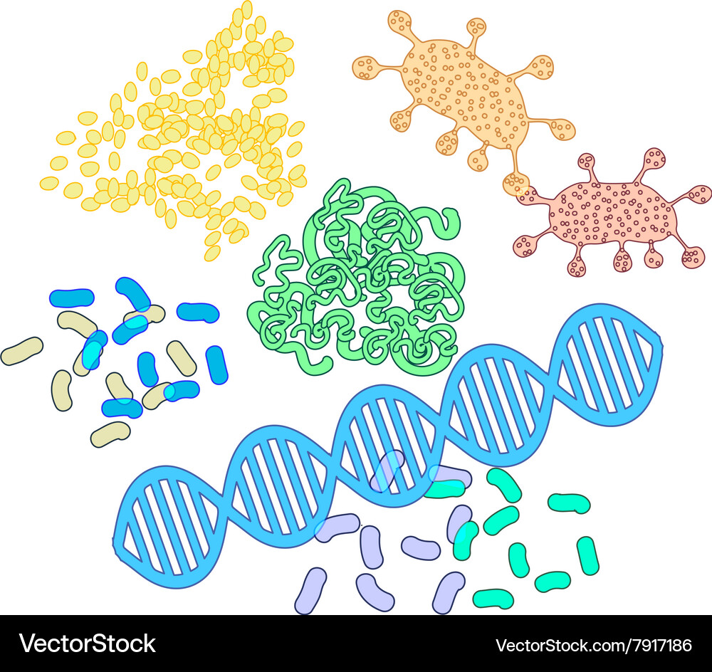 Protein Structure & Molecules Royalty Free Vector Image