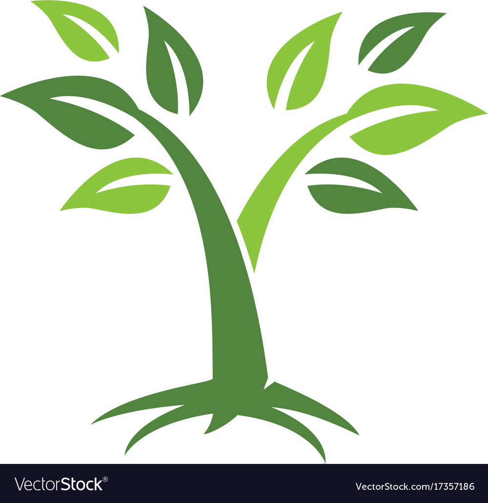 Tree icon logo template Royalty Free Vector Image