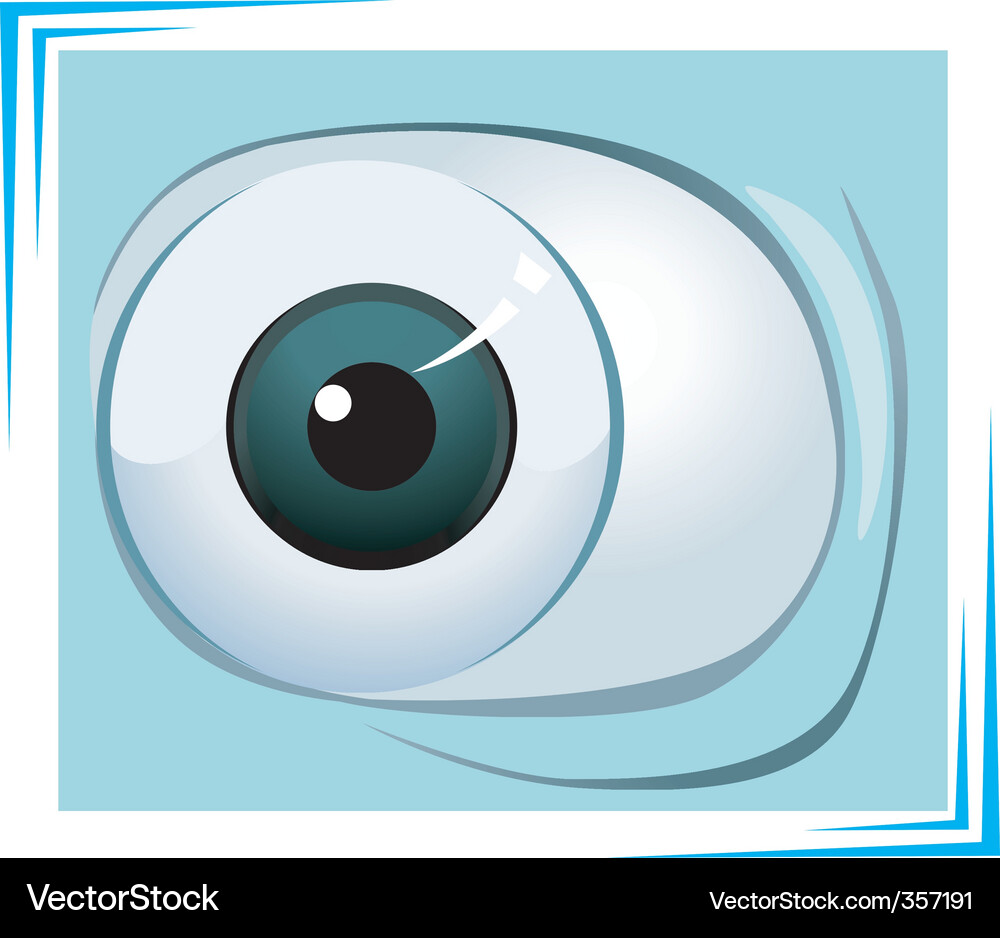 Human Eye Anatomy Royalty Free Vector Image - VectorStock