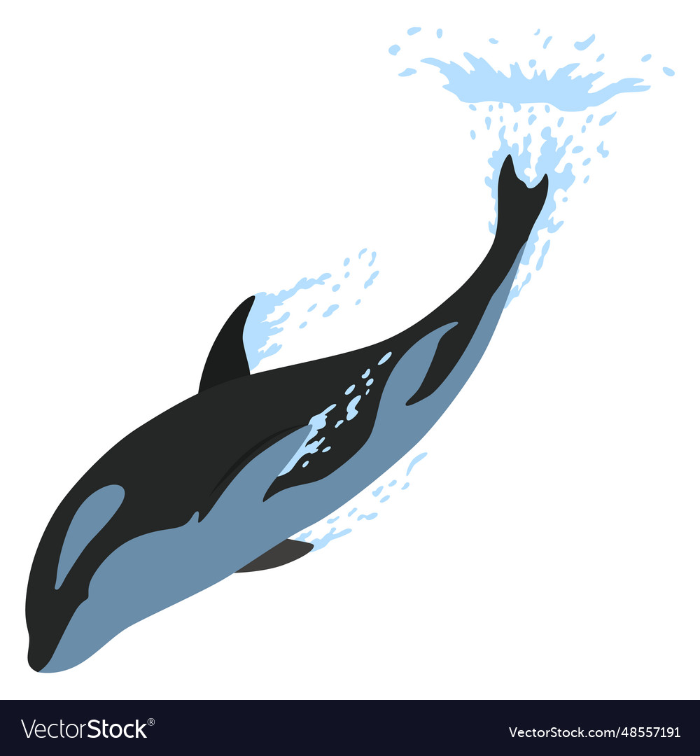 Orca Animation in Wasser Cartoon Tierdesign Vektorbild