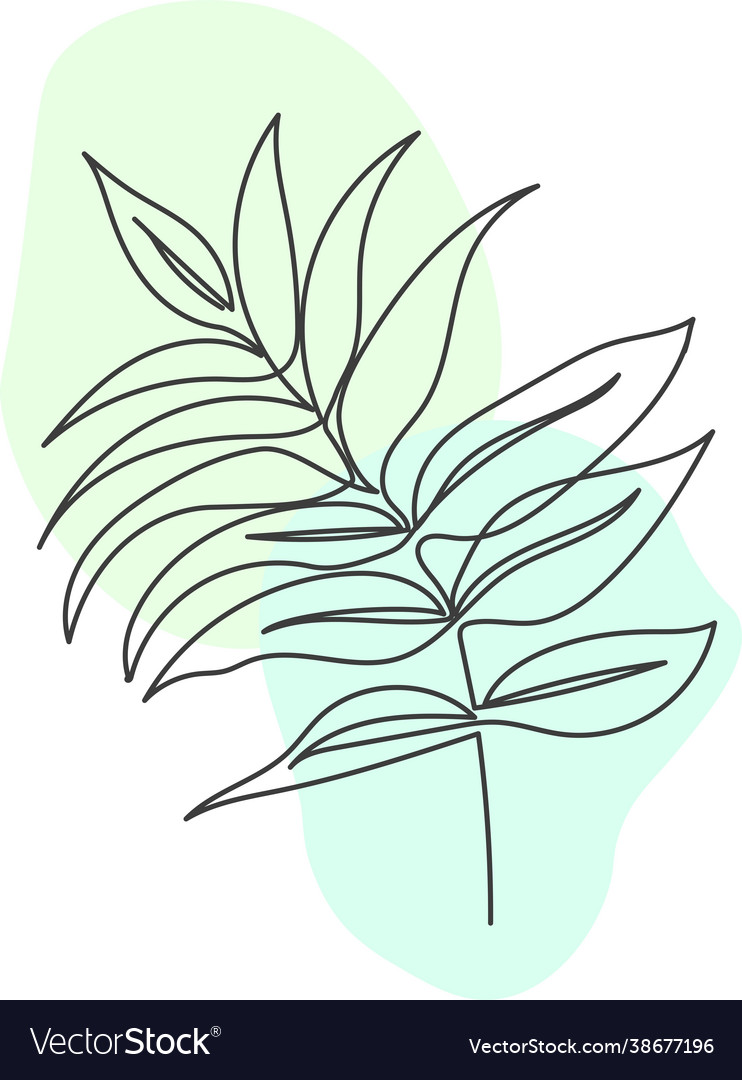 A plant drawn in one continuous line