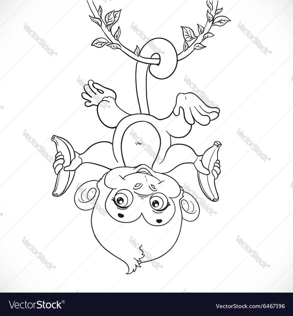 Cute Hanging Monkey Drawing Drawing Art Ideas