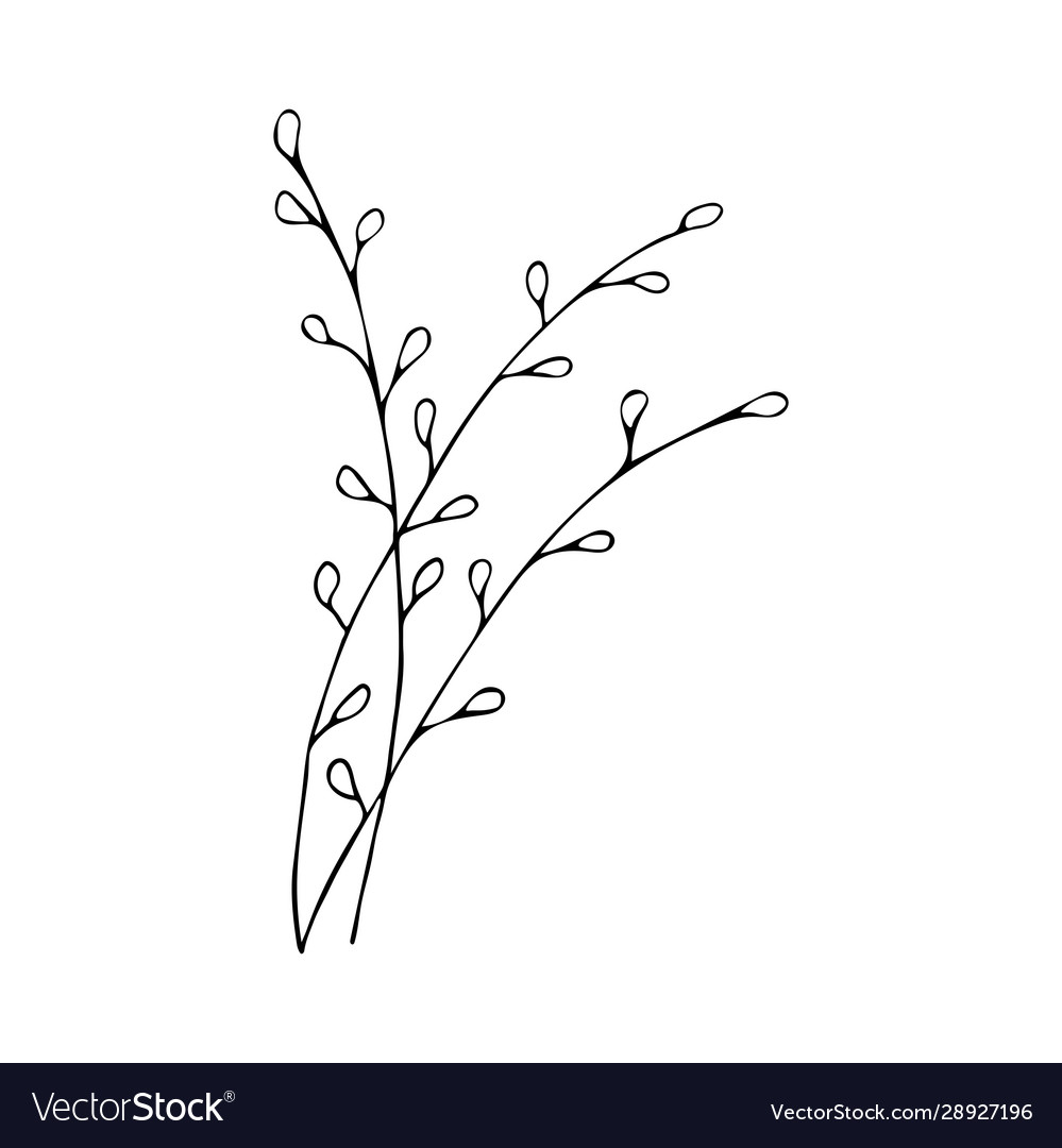 Willow Zweige Frühling Blume Baum Palme vector image Willow Zweige Frühling Blume Baum Palme